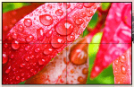 LG DHG550MXS01 Commercial Display Panel - Image 5
