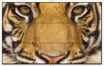 LG DHG550MXS01 Commercial Display Panel - Image 2